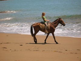 beach horse back riding osa peninsula costa rica